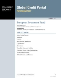 European Investment Fund 2011