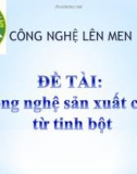 Bài thuyết trình: Công nghệ sản xuất cồn từ tinh bột