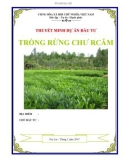 Tư vấn lập dự án miễn phí - Trồng rừng Chư Rcăm