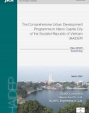 The Comprehensive Urban Development Programme in Hanoi Capital City of the Socialist Republic of Vietnam (HAIDEP)