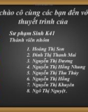 Bài thuyết trình nhóm: Các quy luật chung của lớp vỏ cảnh quan