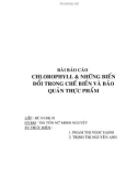 Bài báo cáo: Chlorophyll & những biến đổi trong chế biến và bảo quản thực phẩm