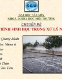 Bài thuyết trình chuyên đề: Các quá trình sinh học trong xử lý nước thải