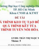 Bài thuyết trình Công nghệ môi trường: Quá trình keo tụ tạo bông, quá trình kết tủa, quá trình tuyển nổi hóa học