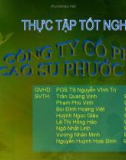 Thực tập tốt nghiệp tại công ty cổ phần cao su Phước Hòa