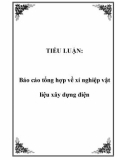 TIỂU LUẬN: Báo cáo tổng hợp về xí nghiệp vật liệu xây dựng điện