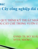 Bài thuyết trình: Quy trình kỹ thuật nhân giống cây chè