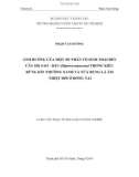 Luận văn thạc sỹ: ẢNH HƯỞNG CỦA MỘT SỐ NHÂN TỐ SINH THÁI ĐẾN CÂY HỌ SAO - DẦU (Dipterocarpaceae) TRONG KIỂU RỪNG KÍN THƯỜNG XANH VÀ NỬA RỤNG LÁ ẨM NHIỆT ĐỚI Ở ĐỒNG NAI