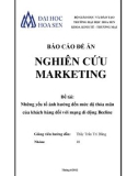 Báo cáo đề án Nghiên cứu Marketing: Những yếu tố ảnh hưởng đến mức độ thỏa mãn của khách hàng đối với mạng di động Beeline