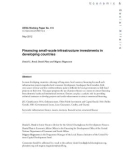 Financing small-scale infrastructure investments in developing countries