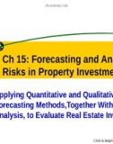 Forecasting and Analyzing Risks in Property Investments