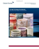 Foreign exchange investments discover the World of Currencies