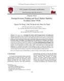 Foreign investor trading and stock market stability: Evidence from VN30