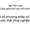 Bài Tiểu Luận Công nghệ sinh học môi trường: Một số phương pháp xử lý nước thải công nghiệp