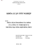 Khóa luận tốt nghiệp: Phân tích tình hình tài chính của Công ty TNHH Dịch vụ Thương mại tổng hợp Hồng Phúc