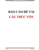 Đề tài báo cáo Cấu trúc vốn