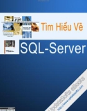 Luận văn Tìm hiểu về SQL - Server 