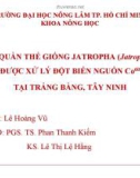 Báo cáo khóa luận tốt nghiệp: Khảo sát quần thể giống Jatropha (Jatropha curcas L.) được xử lý đột biến nguồn Co60 tại Trảng Bàng, Tây Ninh