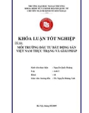 Khóa luận tốt nghiệp: Môi trường đầu tư bất động sản Việt Nam: thực trạng và giải pháp