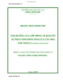 Khóa luận tốt nghiệp ngành Công nghệ sinh học: Ảnh hưởng của lớp mỏng tế bào lên sự phát sinh hình thái của cây hoa Anh thảo (Cyclamen persicum)
