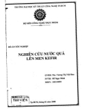 Đồ án tốt nghiệp: Nghiên cứu nước quả lên men Kefir