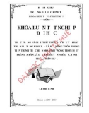 Khóa luận tốt nghiệp: Thực trạng và giải pháp thúc đẩy đầu tư phát triển hạ tầng kinh tế - xã hội nông thôn trong tiến trình thực hiện mô hình nông thôn mới trên địa bàn xã Lộc Trì, huyện Phú Lộc, tỉnh Thừa Thiên Huế