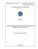 Luận án Tiến sĩ Toán học: Nghiên cứu về đảm bảo chất lượng dịch vụ đa phương tiện trên mạng không dây adhoc