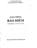 Giáo trình Bảo hiểm: Phần 1 (Xuất bản lần thứ hai)