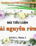 Tiểu luận: Tài nguyên rừng