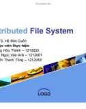 Tiểu luận: Distributed File System