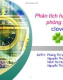 Báo cáo tiểu luận: Phân tích hạt nhân phóng xạ