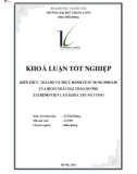 Khóa luận tốt nghiệp: Kiến thức, thái độ và thực hành về sử dụng insulin của bệnh nhân đái tháo đường tại Bệnh viện Lão khoa Trung ương