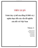 Tiểu luận: Trình bày vị thế của đồng EURO và ý nghĩa thực tiễn của vấn đề nghiên cứu đối với Việt Nam