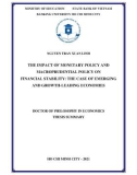 Doctor of philosophy in Economics thesis summary: The impact of monetary policy and macroprudential policy on financial stability: The case of emerging and growth-leading economies