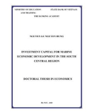 Summary of Finance Banking Doctoral Thesis: Investment capital for marine economic development in the South Central region