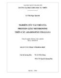 Tóm tắt Luận văn Thạc sĩ Khoa học: Nghiên cứu vai trò của protein giàu methionine trên cây Arabidopsis thaliana