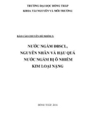 Báo cáo chuyên đề: Nước ngầm ĐBSCL, nguyên nhân và hậu quả nước ngầm bị ô nhiễm kim loại nặng