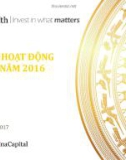 Báo cáo hoạt động quỹ VFF năm 2016