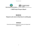 Báo cáo nghiên cứu khoa học Diagnosis and control of diarrhoea in suckling pigs - MS4 