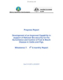 Báo cáo dự án khoa học: Development of an Improved Capability in support of National Bio-security for the Surveillance and Control of Foot & Mouth Disease in Cattle and Pigs (Milestones 7)