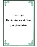 TIỂU LUẬN: Báo cáo tổng hợp về Công ty cổ phần hà bắc