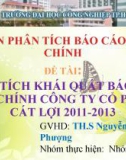 Đề tài: Phân tích khái quát báo cáo tài chính công ty cổ phần Cát Lợi 2011-2013