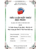 Tiểu luận Chủ nghĩa xã hội khoa học: Lý luận chung về gia đình – liên hệ với thực trạng gia đình ở Việt Nam hiện nay