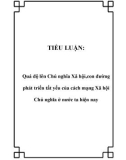 TIỂU LUẬN: Quá độ lên Chủ nghĩa Xã hội,con đường phát triển tất yếu của cách mạng Xã hội Chủ nghĩa ở nước ta hiện nay