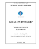 Khóa luận tốt nghiệp Quản trị kinh doanh: Hoàn thiện hệ thống kênh phân phối tại Trung tâm kinh doanh VNPT – Vinaphone Hải Phòng