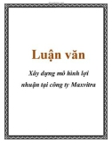 Luận văn: Xây dựng mô hình lợi nhuận tại công ty Maxvitra