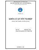 Khóa luận tốt nghiệp Việt Nam học: Thực trạng kinh doanh du lịch và những giải pháp nhằm nâng cao chất lượng của hệ thống khách sạn, nhà nghỉ ở Cát Bà