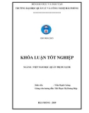 Khóa luận tốt nghiệp Việt Nam học: Xây dựng chương trình du lịch trải nghiệm sông nước miền Tây dành cho đối tượng khách văn phòng của Hải Phòng