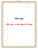 Tiểu luận: Việt Nam và cân bằng Xô-Trung