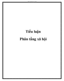 Tiểu luận: Phân tầng xã hội